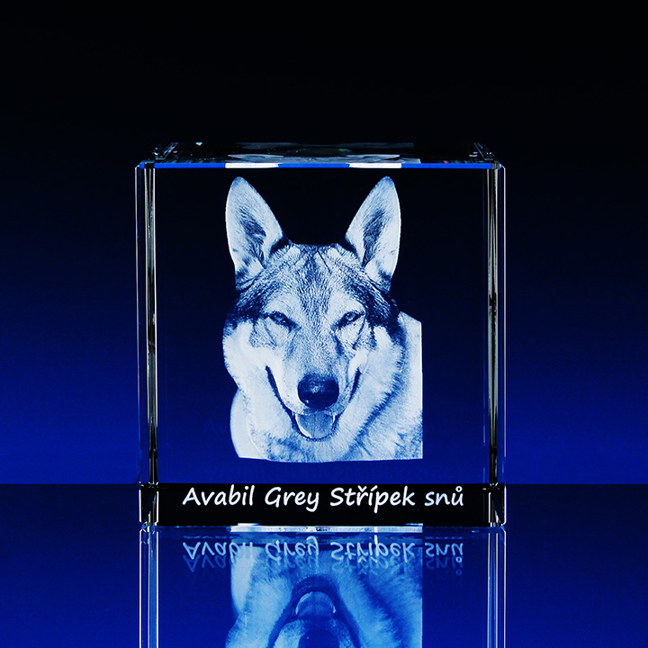 3D fotka v krychli